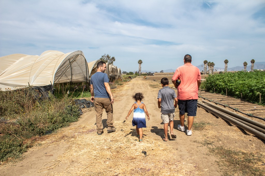 McGrath Family Farm - Top things to do in Camarillo - www.spousesproutsme.com