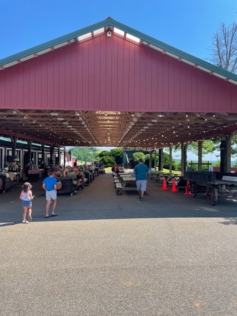 What to do with kids in Charlottesville - Carter Mountain Orchard - www.spousesproutsme.com